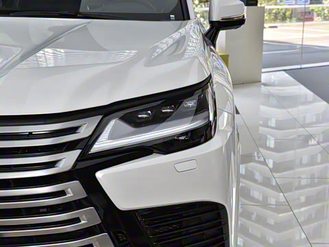 2025�� 700h VIP������