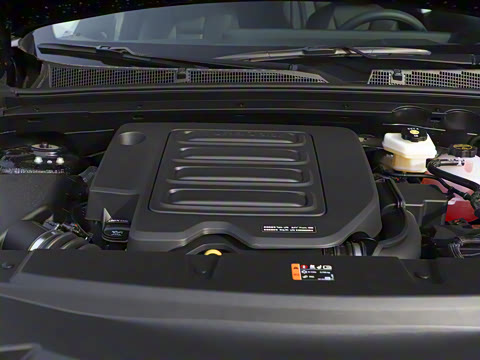 2025�� 25T �׽��