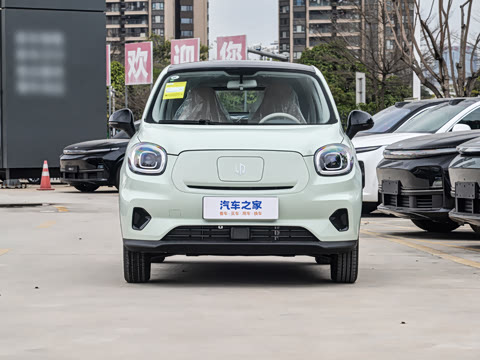 2025�� 310������