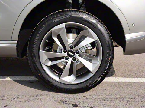 2023�� ������������