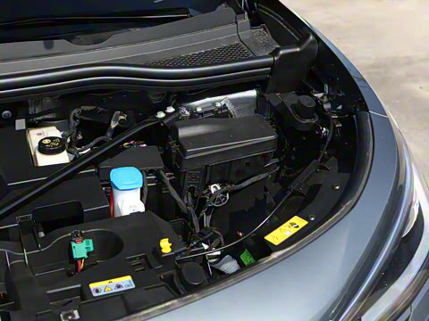 2025�� ������ ���ڰ�