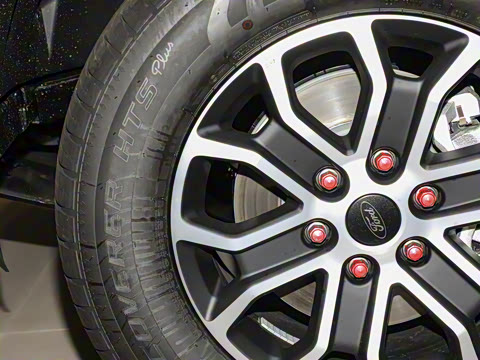 2025�� ̽�������Զ��� ����