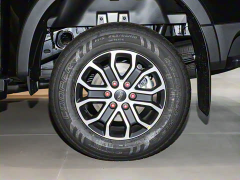 2025�� ̽�������Զ��� ����