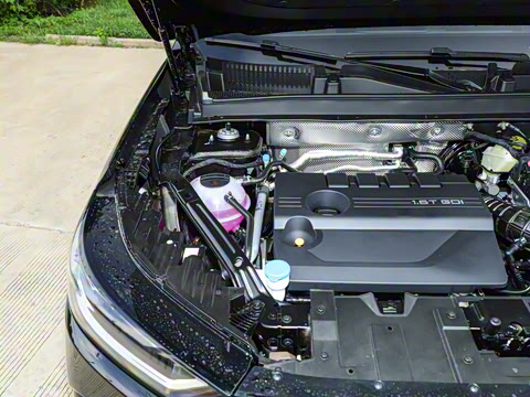 2025�� 290TGDI DCT�˷�� 7��