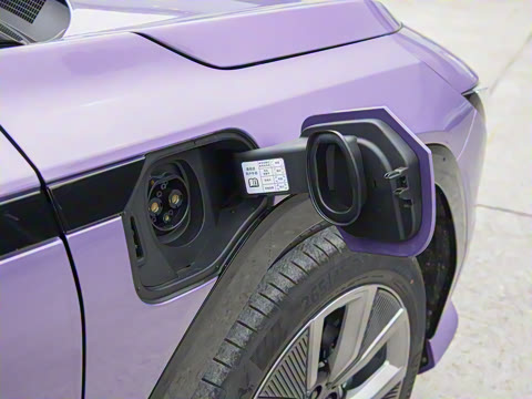 2025�� ����������Max