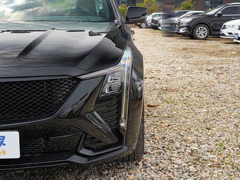 2025�� 28T �������ܰ�