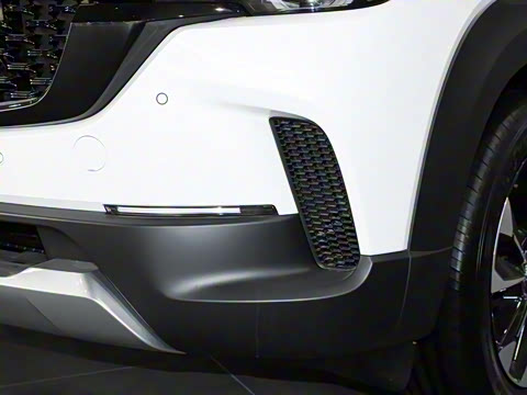 2023�� 2.5L ���а�