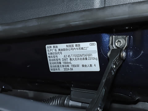 2025�� 45 TFSI ��ѡ��