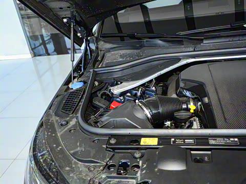 2025�� 4.4 V8 SV Edition Two