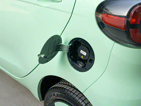 2021�� FOR-Four�ԹԻ� ��Ԫ�