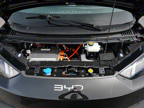 2025�� �Ǽݰ� 305km ������