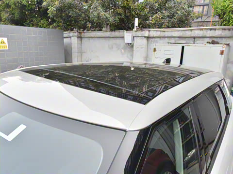 2021�� ����L P300e ������