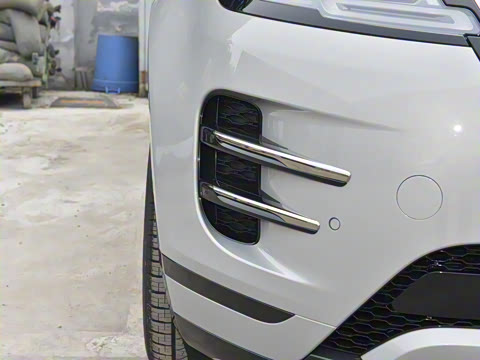 2021�� ����L P300e ������