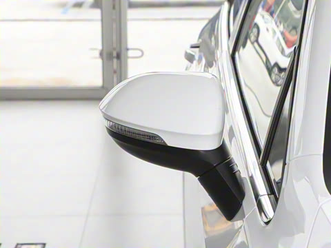 2025�� �Ŀ� 300TSI Pro