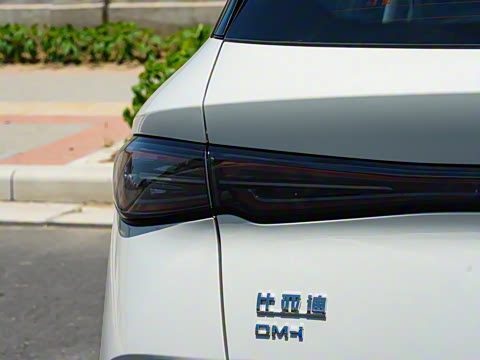 2025�� DM-i 150KM������