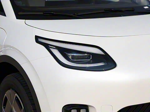 2025�� 330��ҫ��