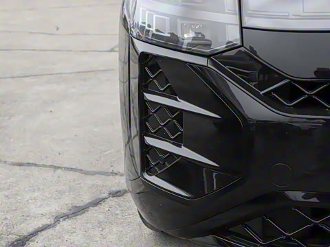 2025�� ;�� Pro 450TSI �����ݺ��