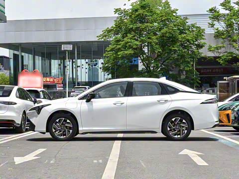 2026�� ������