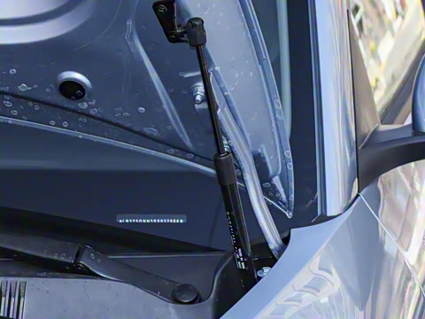 2025�� 310km �ഺ��