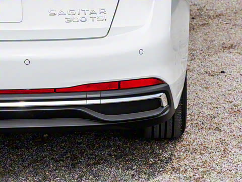 2025�� �Ŀ� 300TSI DSG��Խ��