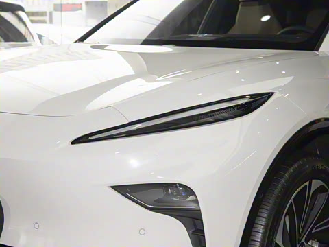 2025�� ���װ�