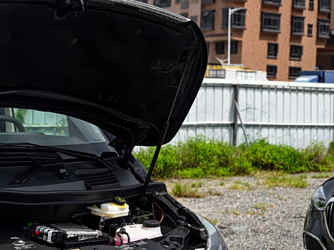 2025�� V 300 �캽��