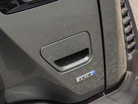 2025�� 501KM ����Max��