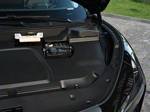 2025�� 502 ������ Max