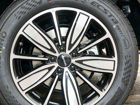 2025�� 1.5T �����ھ���