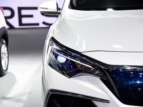 2019�� ������������