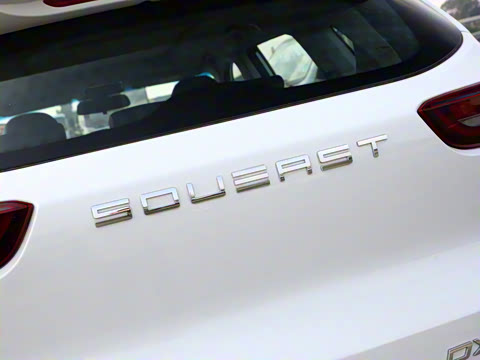 2022�� 1.5T DCTԶ���� 5��