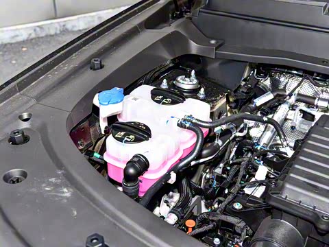 2025�� 220km ����������