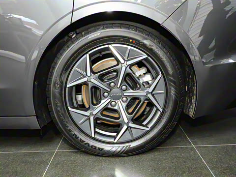 2024�� 95kWh 766km����Max