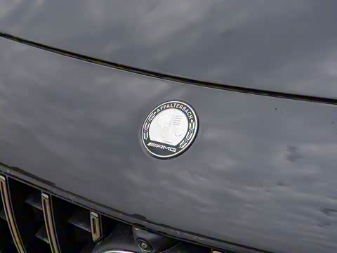 2025�� AMG GT 50 �����ܳ� �й��ر��