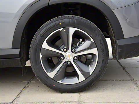 2020�� �����