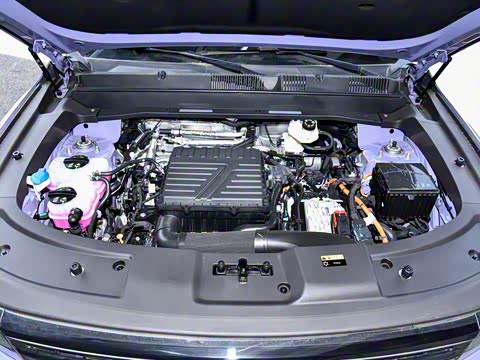 2025�� 150km ����Ů��