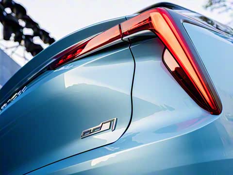 2020�� TOP��