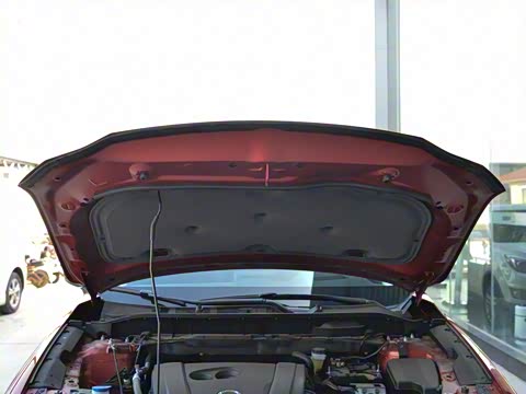 2020�� 2.0L �Զ�����������