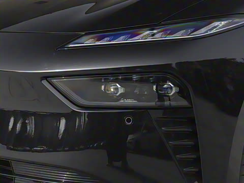 2025�� ���� 565����Max�캽��