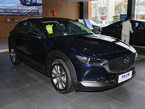 2024�� 2.0L �Զ�������