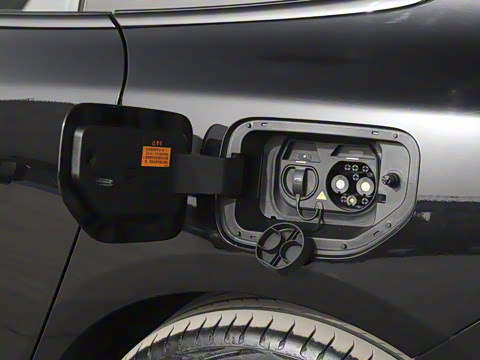 2025�� ���� 565����Max�캽��