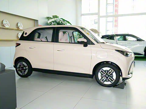 2025�� 305km ������