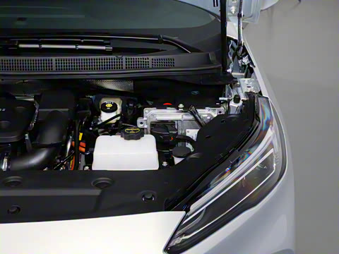 2025�� ½�� ������ 7��