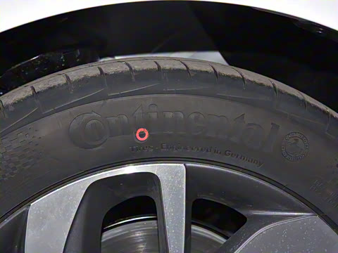 2022�� ���춯 ����������