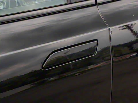 2025�� ����������Pro