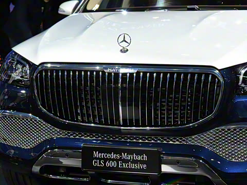 2021�� GLS 600 4MATIC ���а�