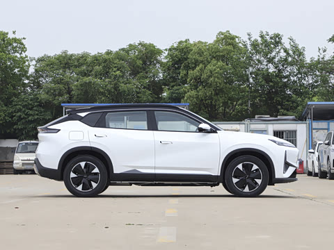 2025�� 205��������������