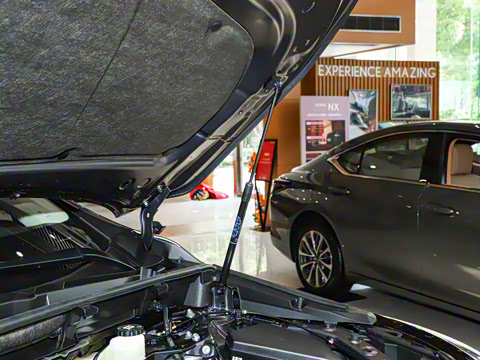 2025�� 260 ǰ�� �ر��