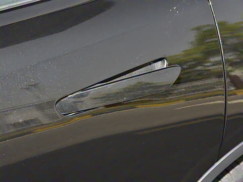 2025�� 300Max  �����Ǽ�AD PRO���̰�