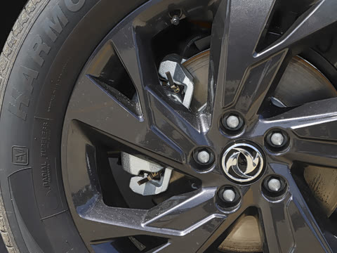 2025�� 518������